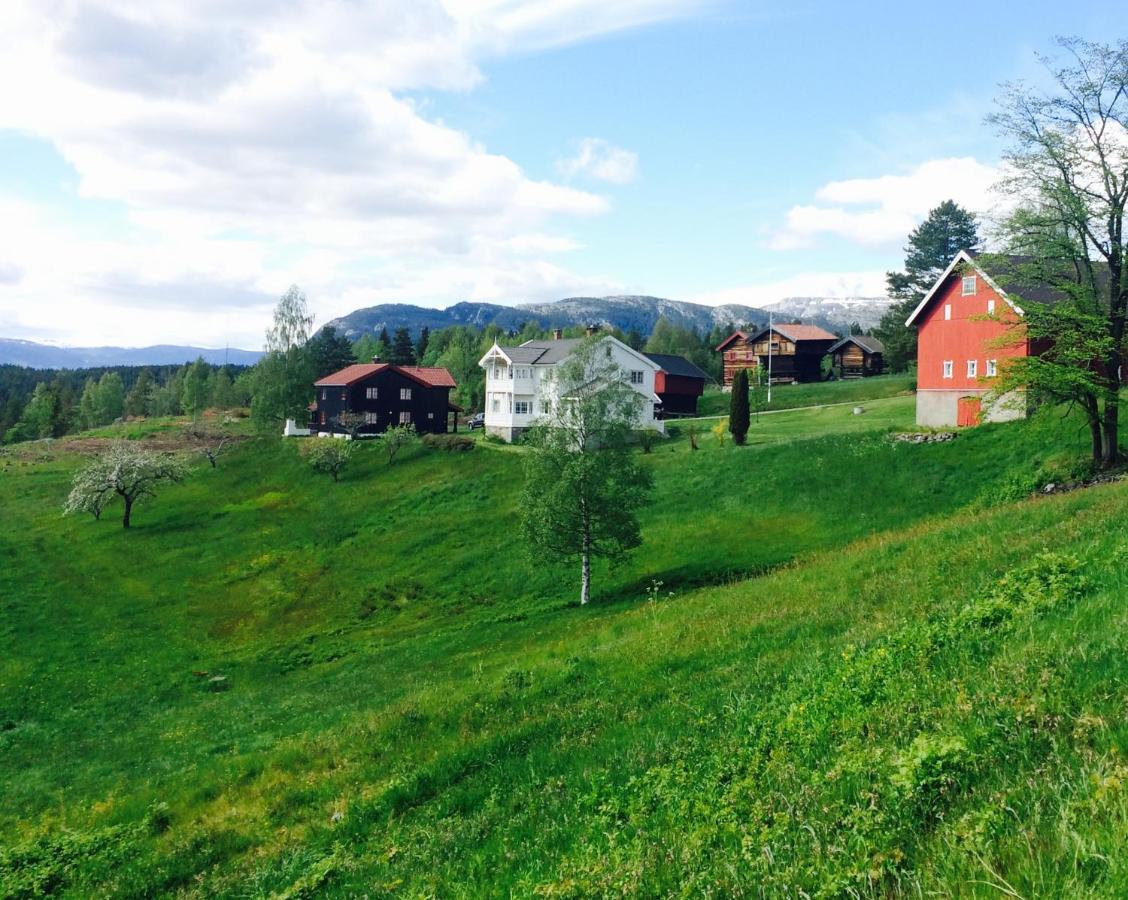 Bolkesjo Gaard Villa Notodden Exterior photo